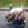 Transporte 06.jpg